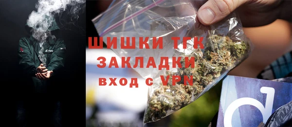 тгк Богородск