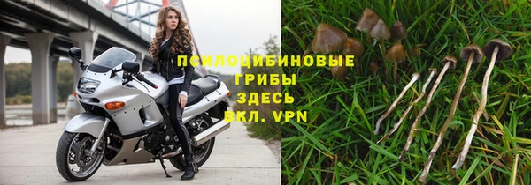 а пвп мука Богданович
