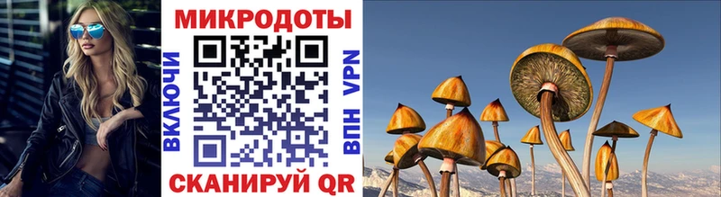 Псилоцибиновые грибы мицелий Омск